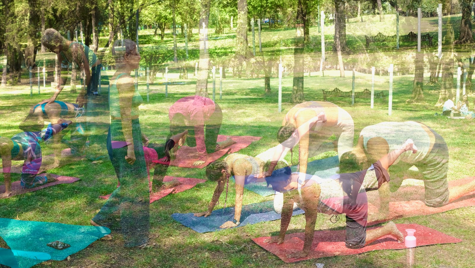 Yoga y autonomía: Renatta Bagó nos guía en un viaje de reconexión femenina 🧘🏾‍♀️